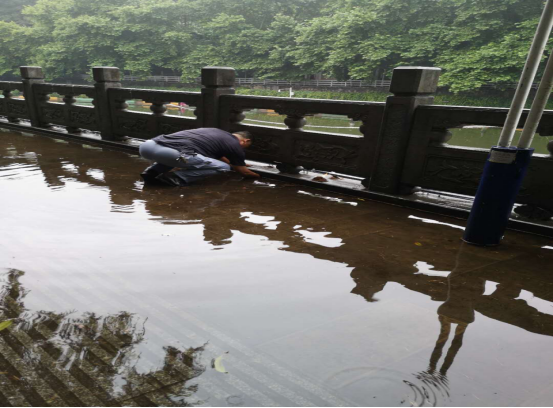 意甲联赛直播在线观看